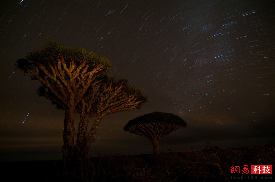 【神奇的自然】地球上最像外星之地——索科特拉岛（下）